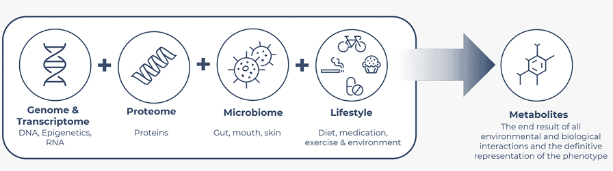 Why Metabolomics Matter Diagram